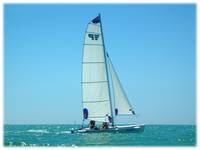 catamarano  regate1